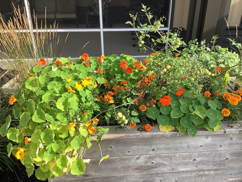 21 09 2023 jardin foyer22