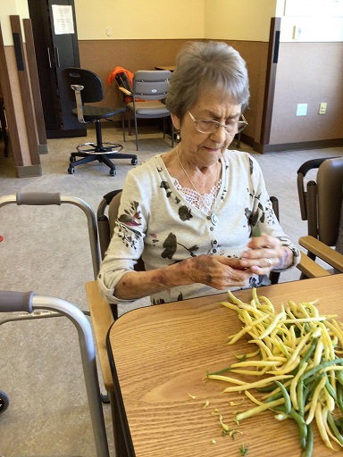 21 09 2023 jardin foyer24