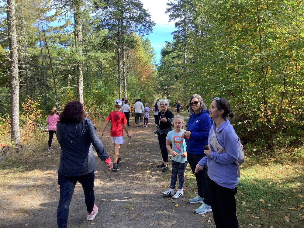CourseTerryFox2025 12