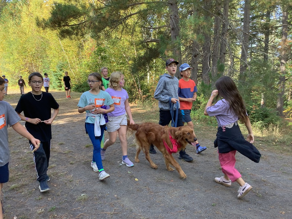 CourseTerryFox2025 3