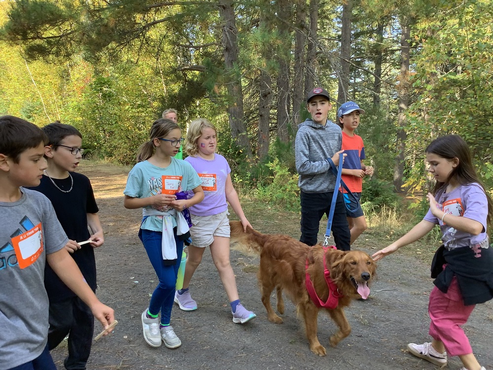 CourseTerryFox2025 4
